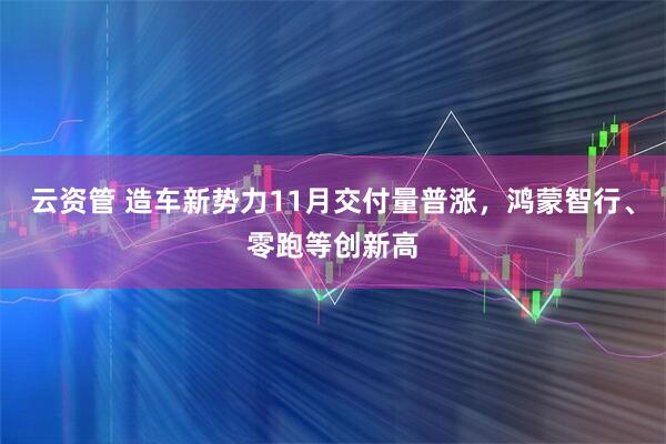 云资管 造车新势力11月交付量普涨，鸿蒙智行、零跑等创新高