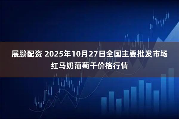展鵬配资 2025年10月27日全国主要批发市场红马奶葡萄干价格行情