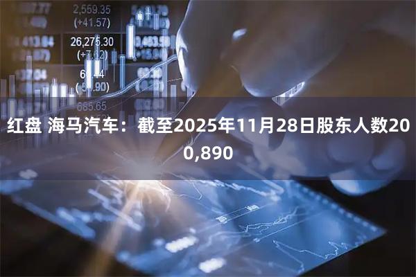 红盘 海马汽车：截至2025年11月28日股东人数200,890
